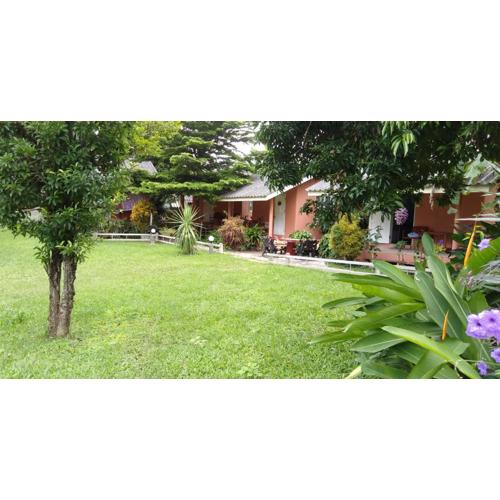 Baankanoonpai(บ้านขนุนปาย)​