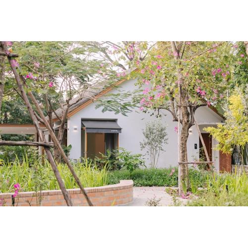 ดาวนับพัน Baanphandao