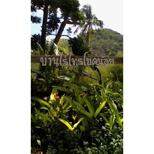 Baanrai Saiyoknoi Resort