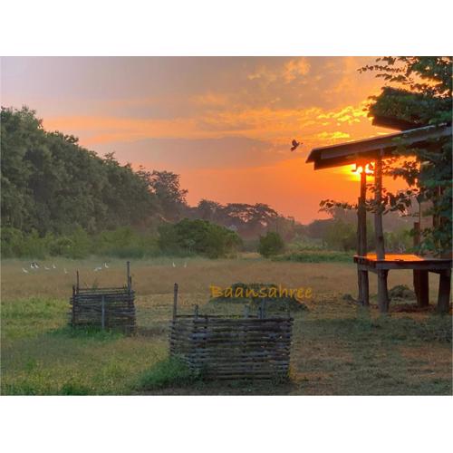 Baansahree Farmstay