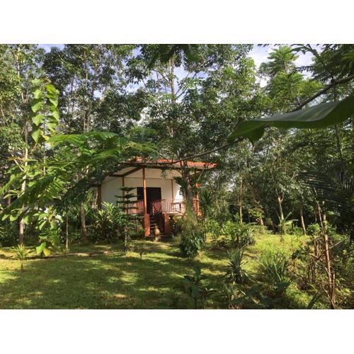 Baansuan Suksangob Farm Stay