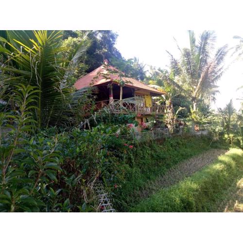 Babahan Farmstay