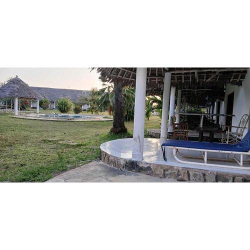 Baby Bird Luxury Studio