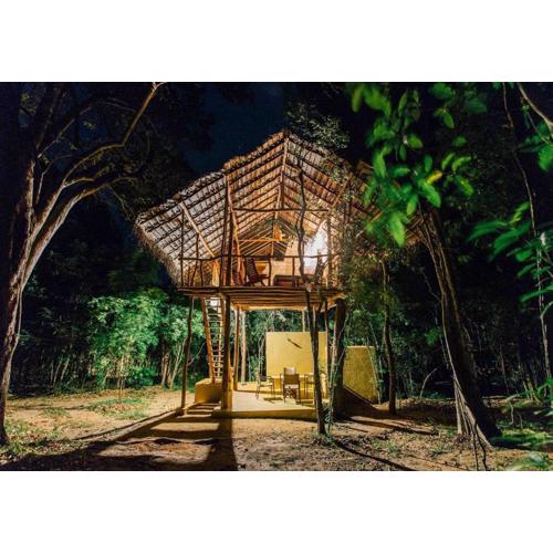 Back of Beyond - Pidurangala