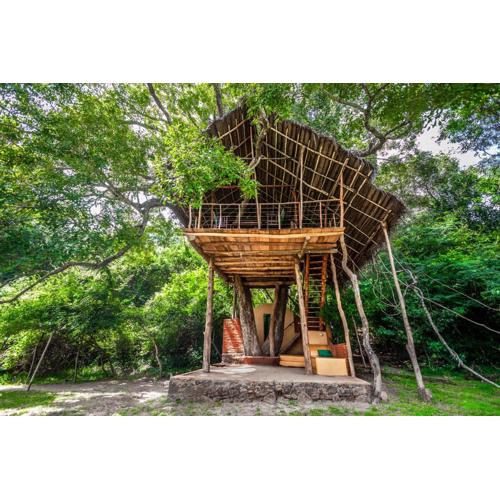 Back of Beyond - Wild Haven