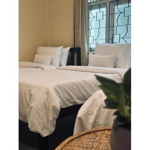 Backyard Bed & Kitchen