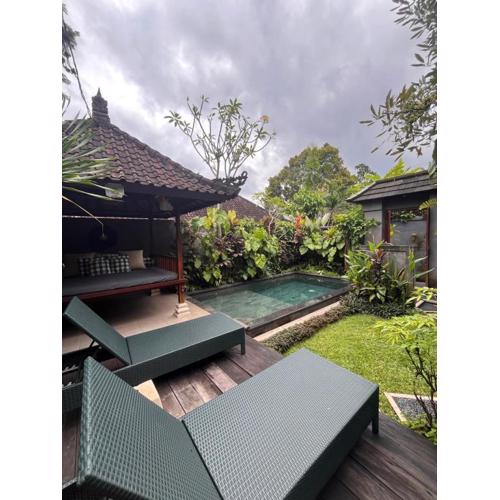 Badra House Bougainvillea