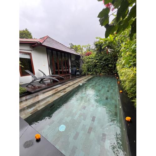 Badra House Hibiscus