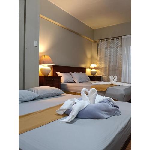 Baguio Vibes Staycation