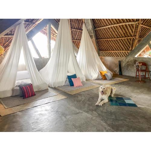 Baia Nest TURINGAN Loft, Self-Service Breakfast, Near the Beach, Pet Friendly with a Fee