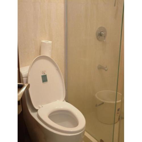 Balai Condominium Upper Penthouse