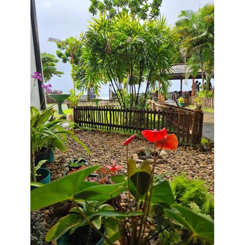 Balance Beach Resort