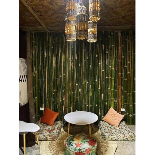 Balay Karajaw Island Home 12pax