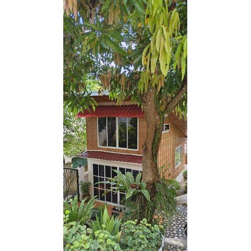 BALAY SA BUKID 1bedroom Nipa House with garden view