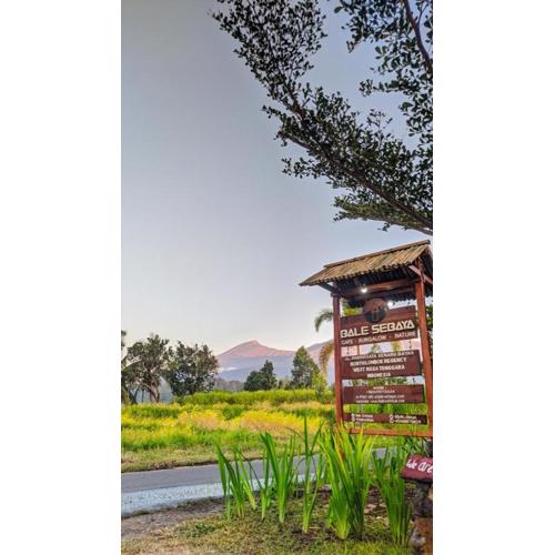 Balé Sebaya - Bungalows Café Nature