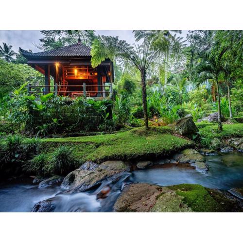 Bali Eco Stay