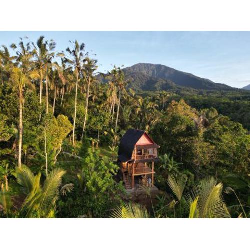Bali jungle cabin