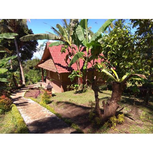 Bali mountain forest cabin