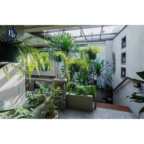 Bali Puspa Guest House