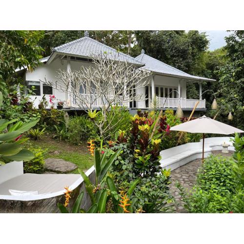 Balian Bliss Retreat complex with private pool
