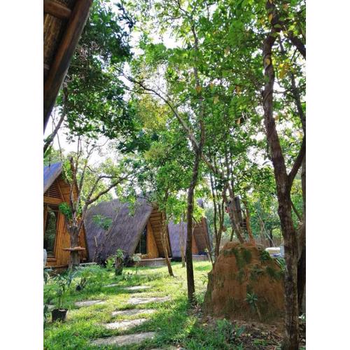 Balili Farm At Nacpan