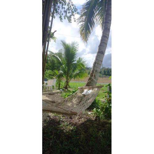 Bamboo Garden Tourist Inn