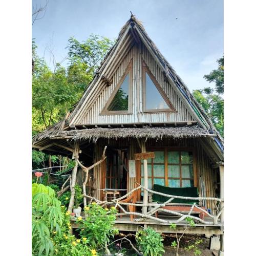 Bamboo Hut Alpha Hotel