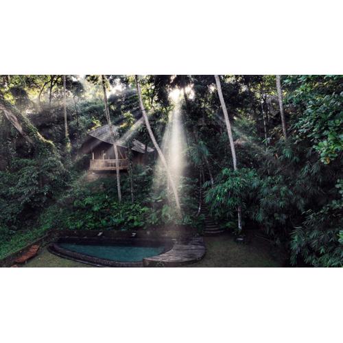 Bamboo Turtles Ecolodge