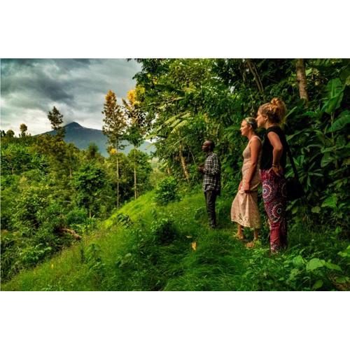 Banana Farm Eco Hostel