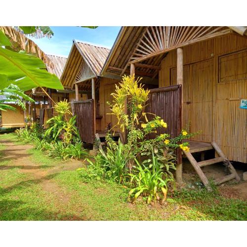 Banana Grove El Nido