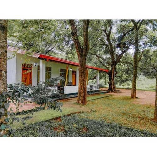 Banana Rest Sigiriya