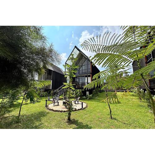 Bango Cabins Loft-2 Rooms