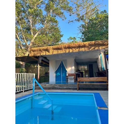 Barracuda Swim Club's Homestay - Aircon Room with Pool