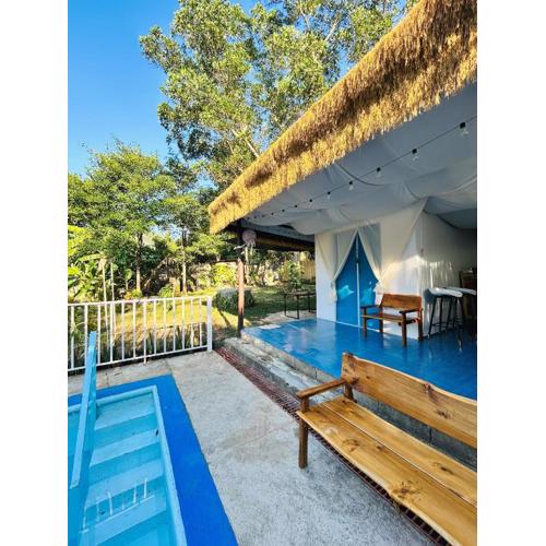 Barracuda Swim Club's Homestay - Fan Room with Pool