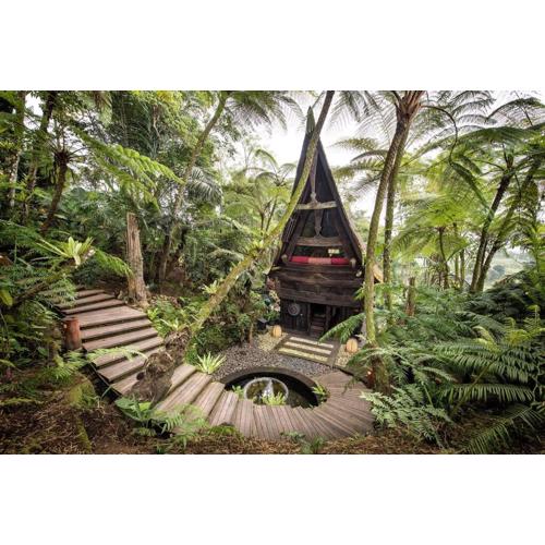 Batak Legacy, A Jungle Hideaway