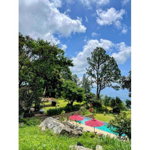 Bawlana Estate - Kandy