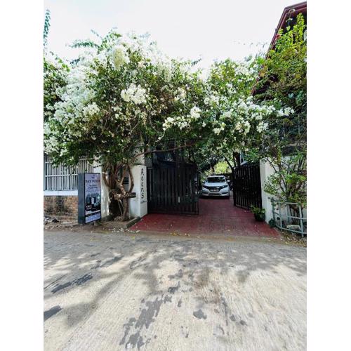 Bay Root Surf Resort