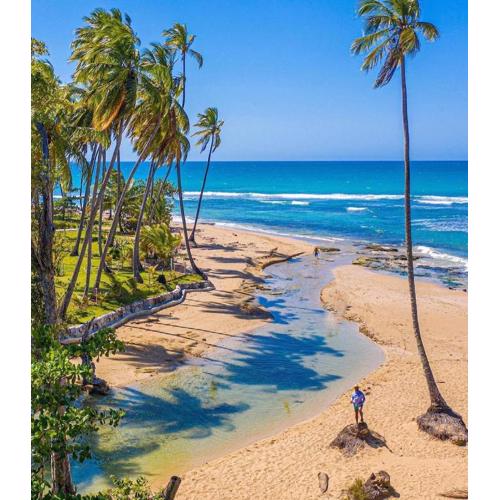 Beach Bungalow 100 m Playa Coson