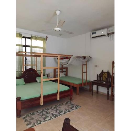 Beach House apartments nungwi