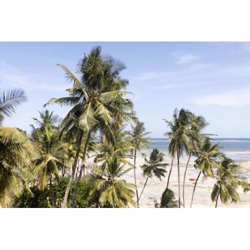 Beachfront Luxurious Apartment