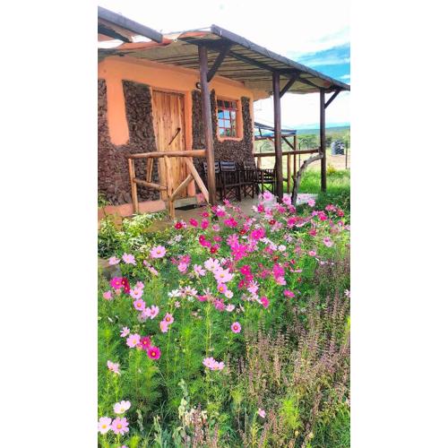 Beats Of Beads Trust