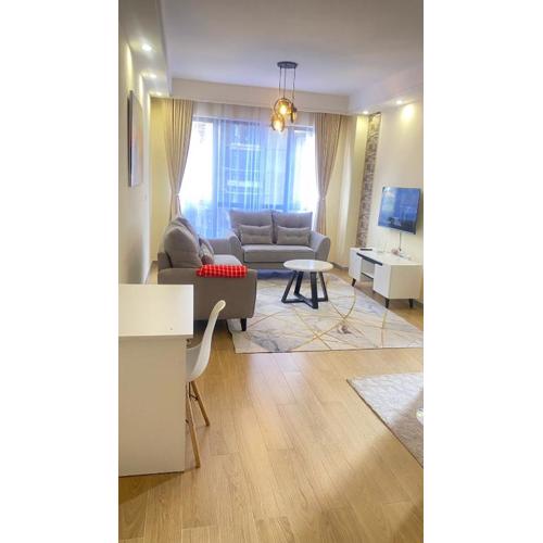 Beautiful one bedroom apartment with fully equipped gym ample parking space swimming pool children playing ground and amazing scenic views