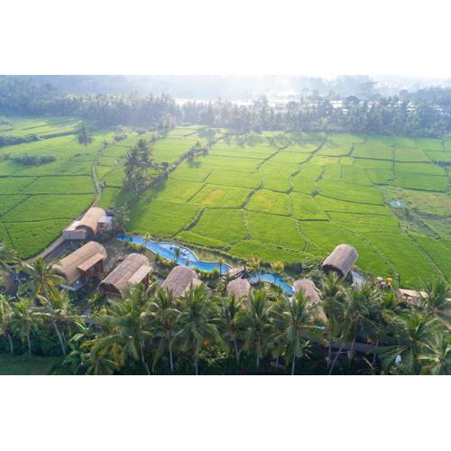 Beehouse Dijiwa Ubud