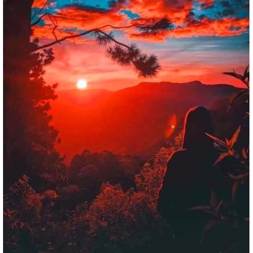 Bel View Guest House