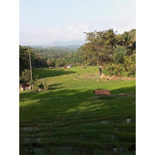 Belihuloya Escape and Cafe