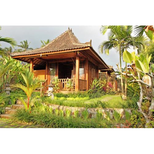 Belvilla Moksha Ceking Rice TerraceNearUbud Jungle Swing