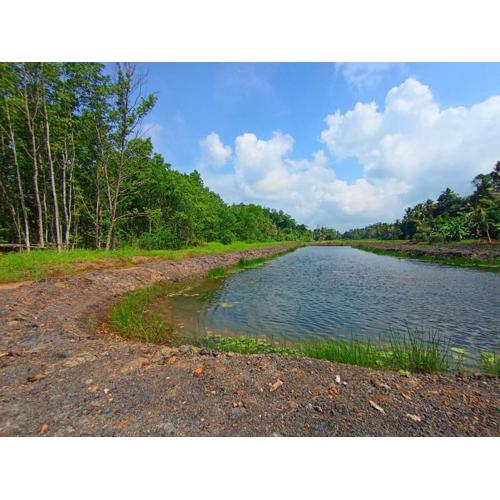 Benefit Villa Mirissa