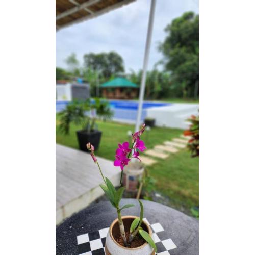 Benido Farm - A Secret Haven