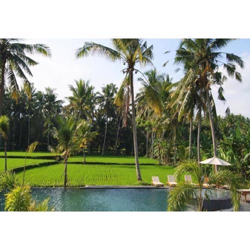 Bhanuswari Villas Ubud