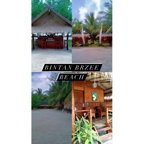 Bintan Brzee Beach in Bintan Island - Bungalow 5